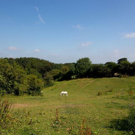 Le Pre Du Poney Villa Spa Luaran gambar